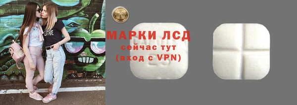 ПСИЛОЦИБИНОВЫЕ ГРИБЫ Баксан