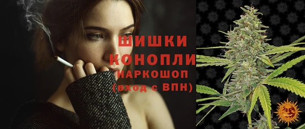 ПСИЛОЦИБИНОВЫЕ ГРИБЫ Баксан
