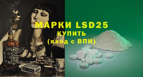 ПСИЛОЦИБИНОВЫЕ ГРИБЫ Баксан
