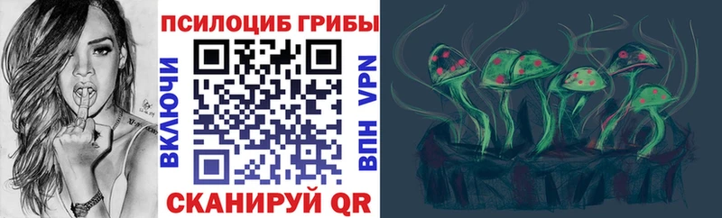 цена   Белый  hydra ТОР  Псилоцибиновые грибы прущие грибы 